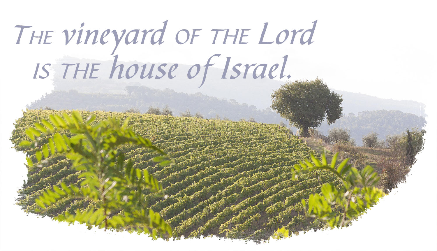 Ordinary Time - Week 27 - Response - English - V2