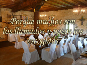 Ordinary Time - Week 28 - Gospel - Spanish