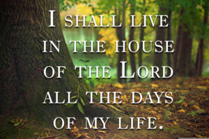 Ordinary Time - Week 28 - Response - English