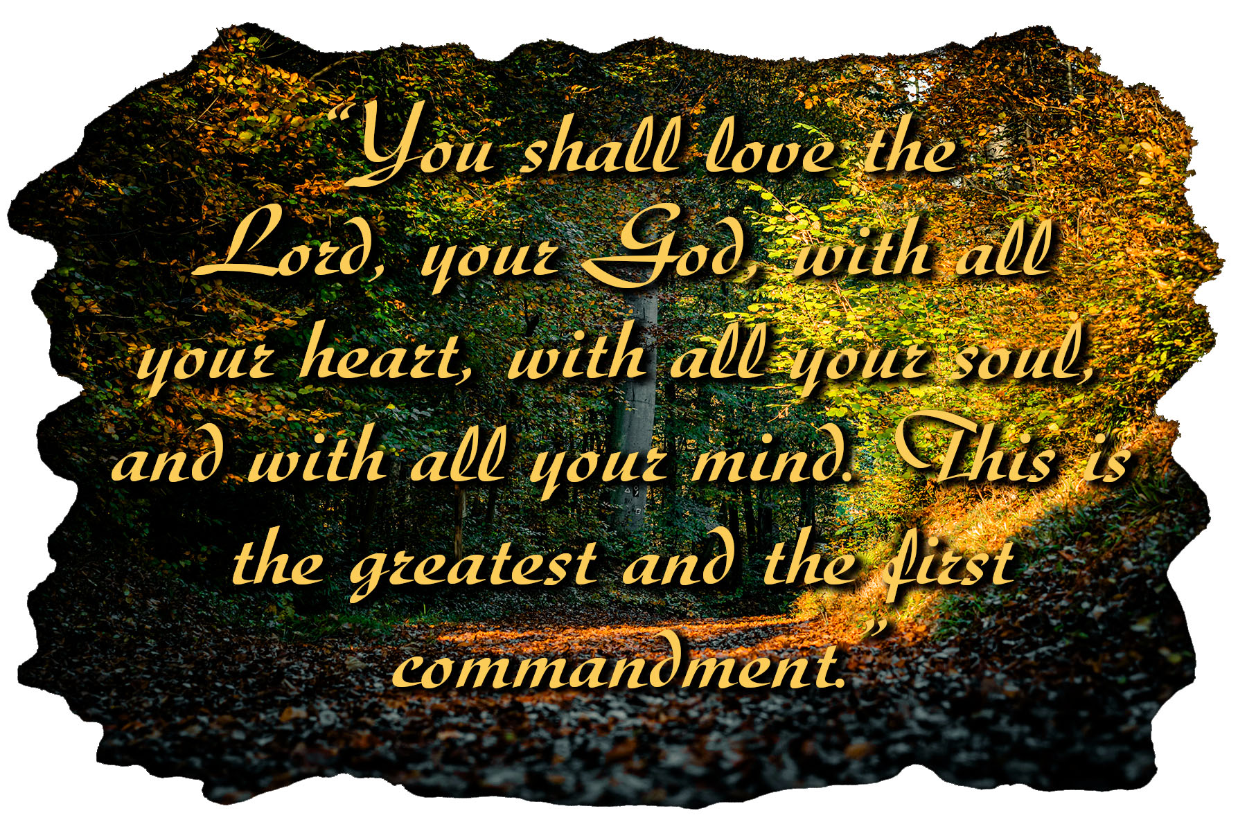 Ordinary Time - Week 30 - Gospel - English