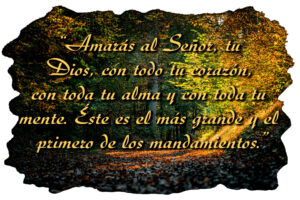 Ordinary Time - Week 30 - Gospel - Spanish