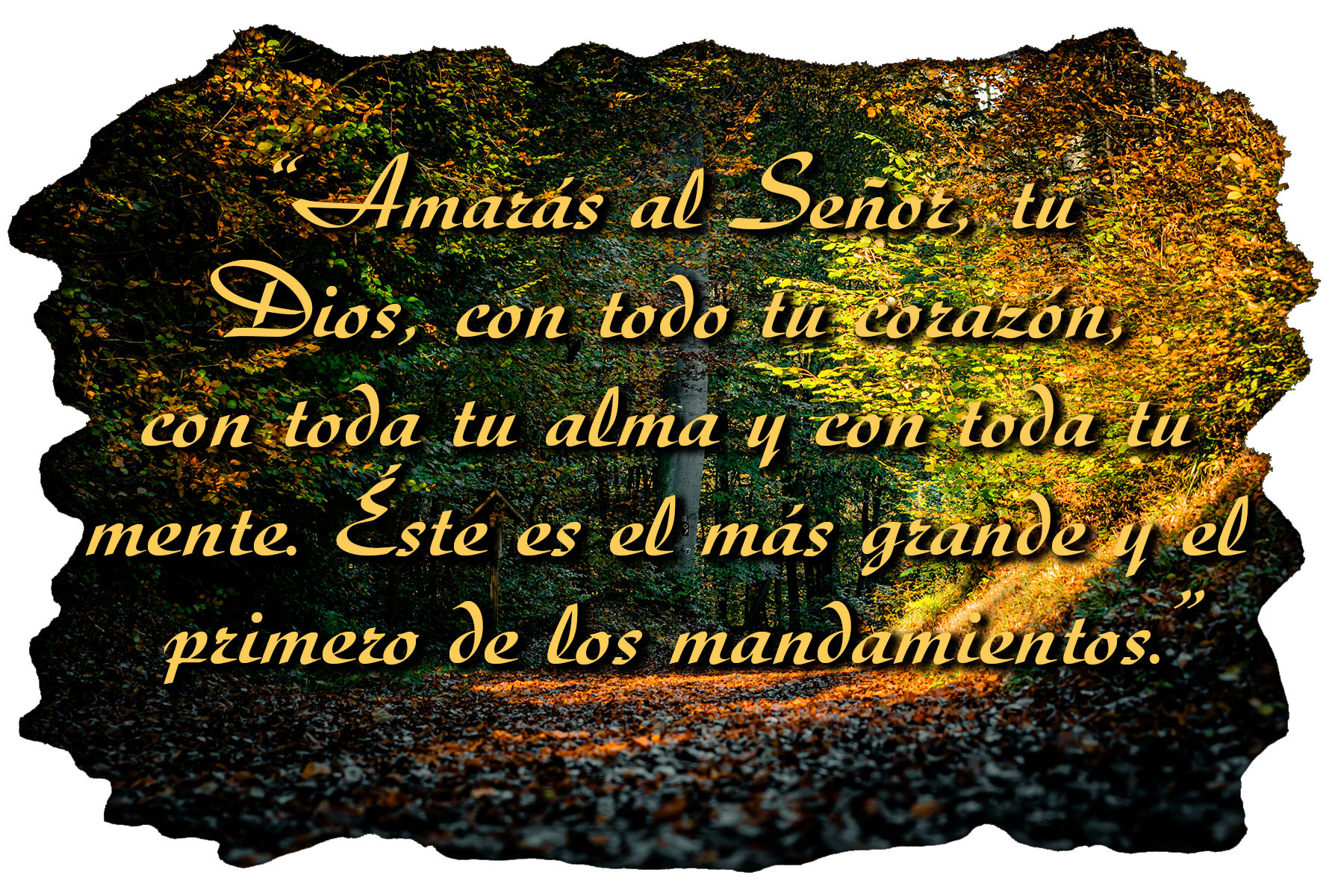 Ordinary Time - Week 30 - Gospel - Spanish