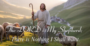 All Souls - Response - English