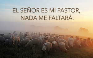 All Souls - Response - English - V2