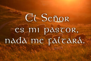 Christ the King - Response - Spanish - V2