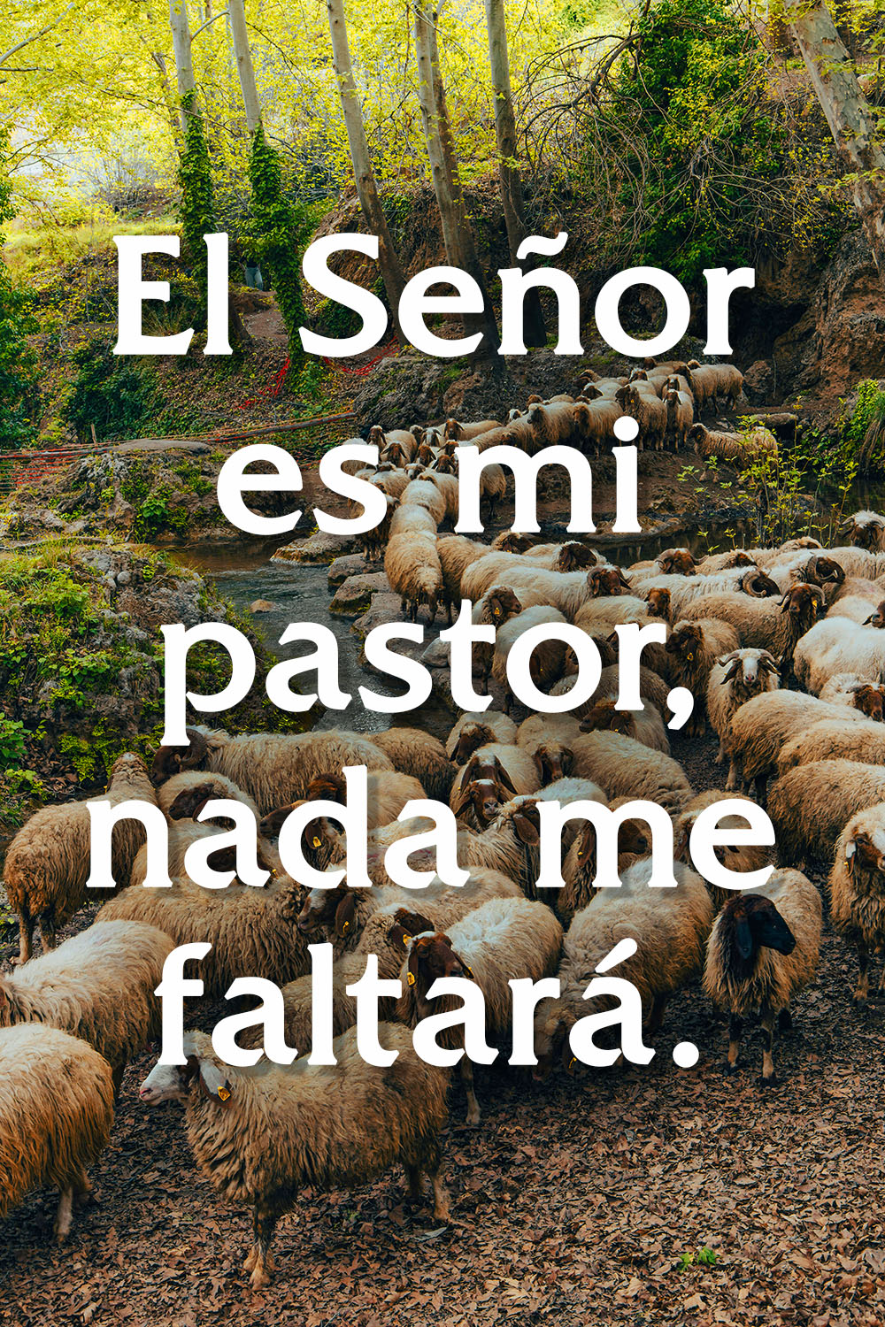 Christ the King - Response - Spanish