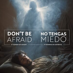 Do Not Be Afraid Advent Bilingual Square