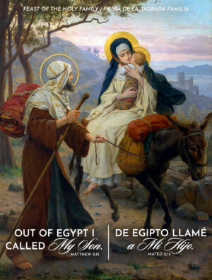 Out of Egypt Holy Family Bilingual Cover