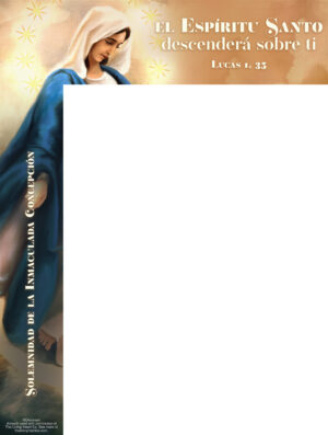 Immaculate Conception by The Living Heart Co. Spanish Wrapper