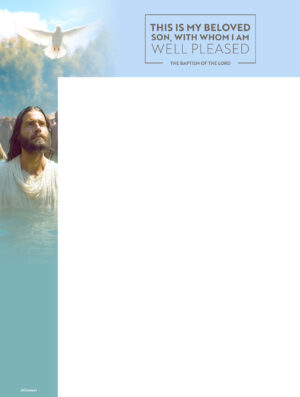 My Beloved Son. Wrapper