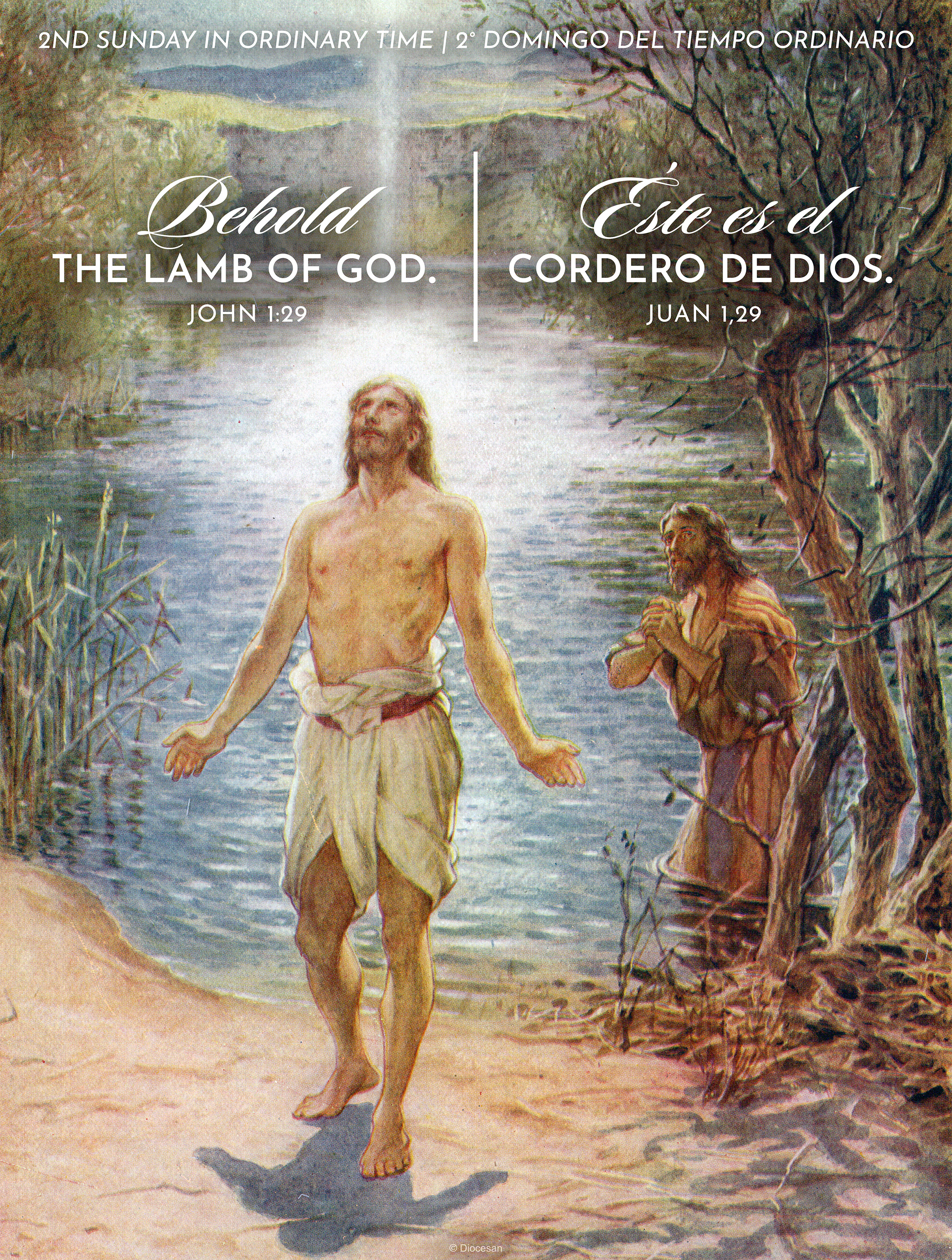 Lamb of God Ordinary Time Bilingual Cover