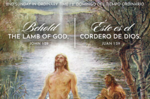 Lamb of God Ordinary Time Bilingual Half Page