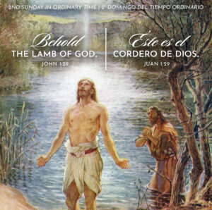 Lamb of God Ordinary Time Bilingual Square