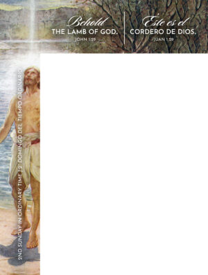 Lamb of God Ordinary Time Bilingual Wrapper