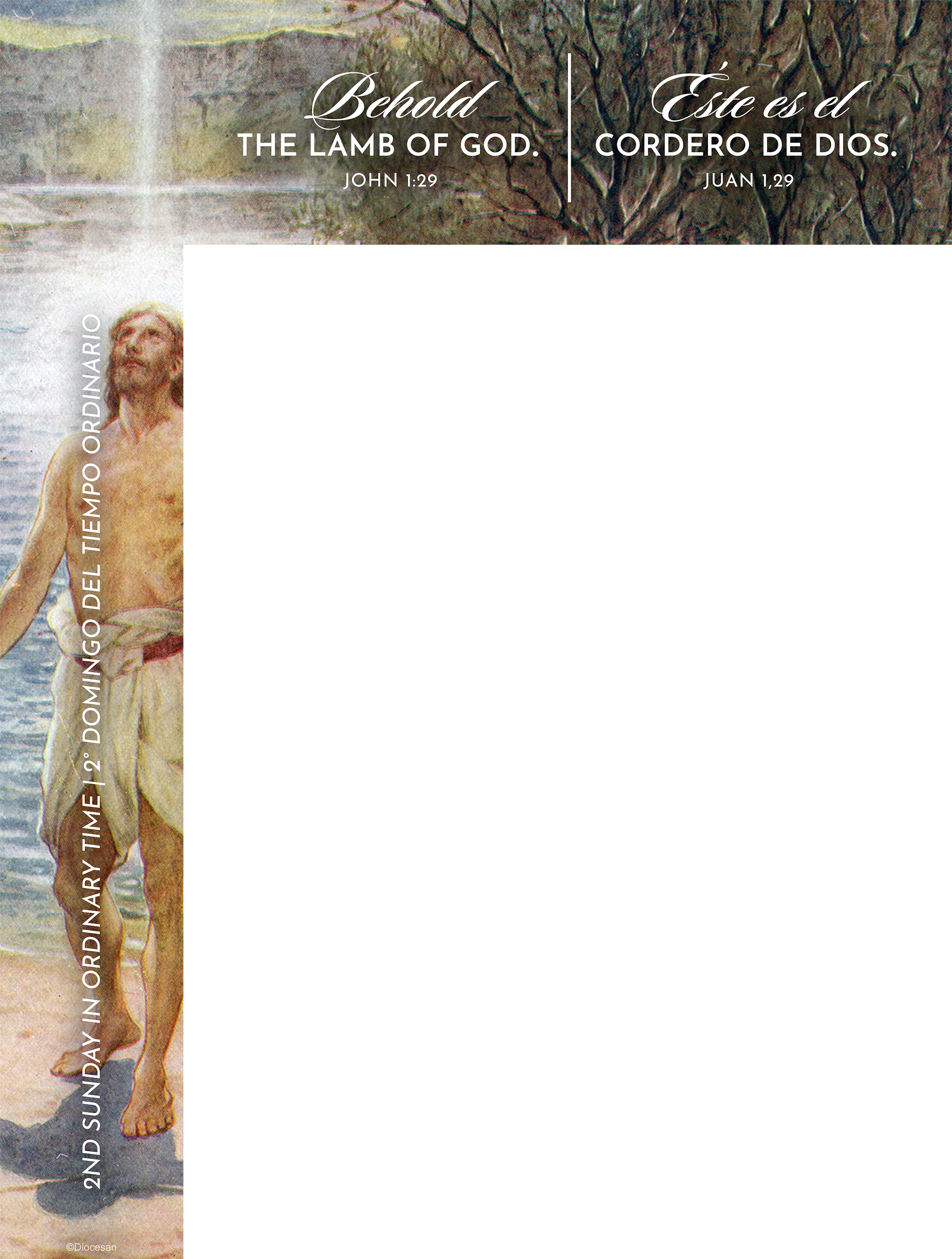Lamb of God Ordinary Time Bilingual Wrapper