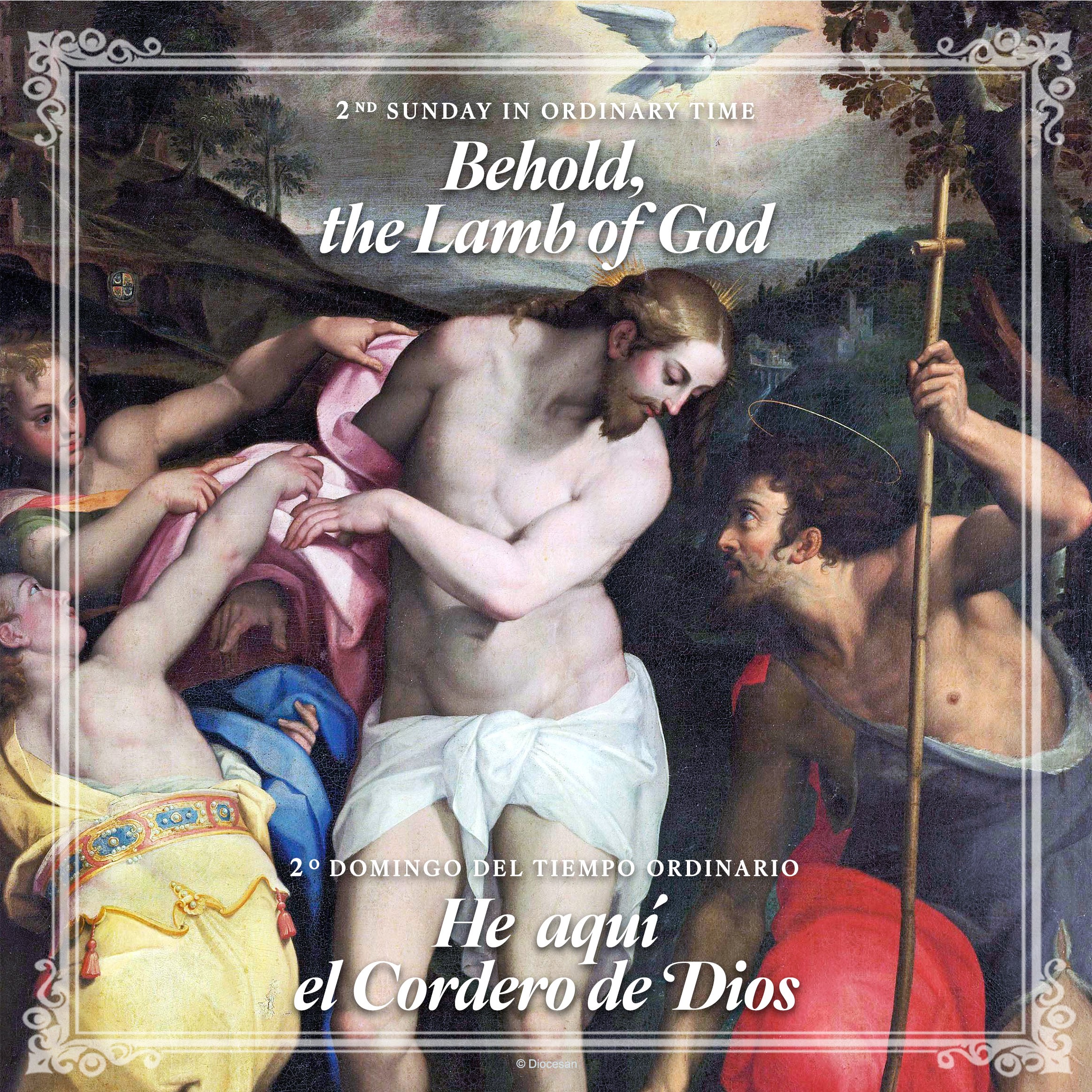 Behold the Lamb of God. Bilingual Square