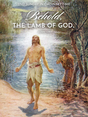 Lamb of God Ordinary Time Cover