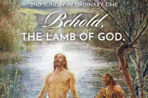 Lamb of God Ordinary Time Half Page