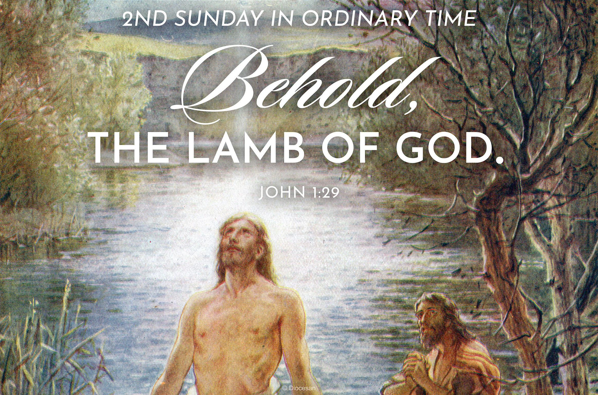 Lamb of God Ordinary Time Half Page