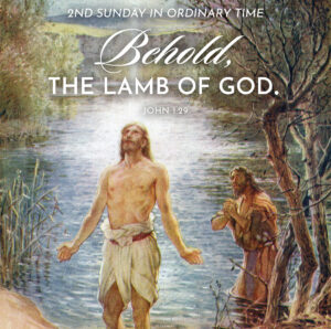 Lamb of God Ordinary Time Square