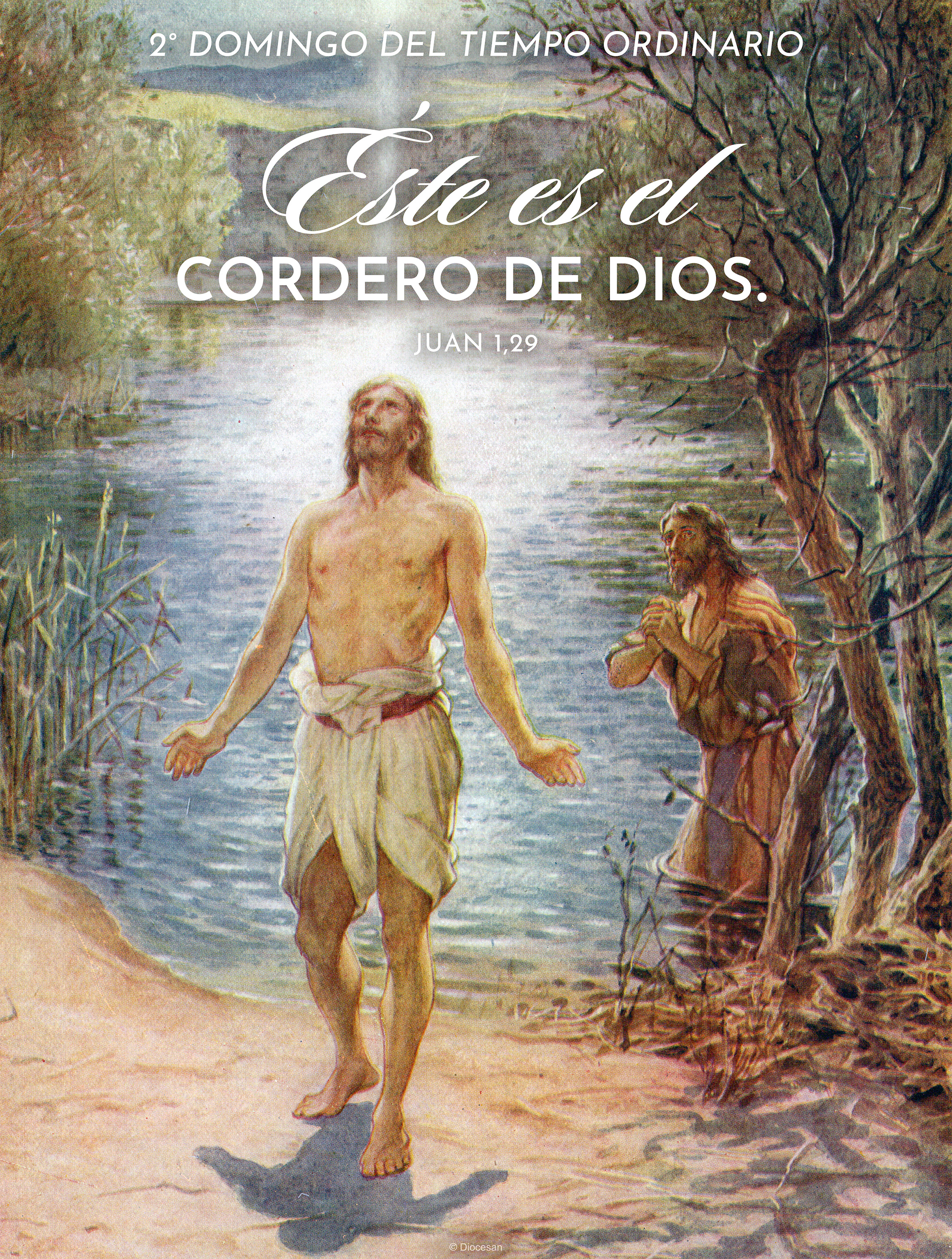 Lamb of God Ordinary Time Spanish Cover