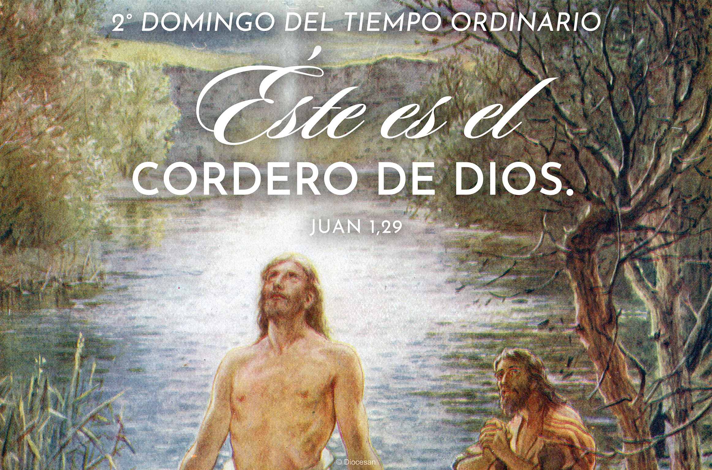 Lamb of God Ordinary Time Spanish Half Page