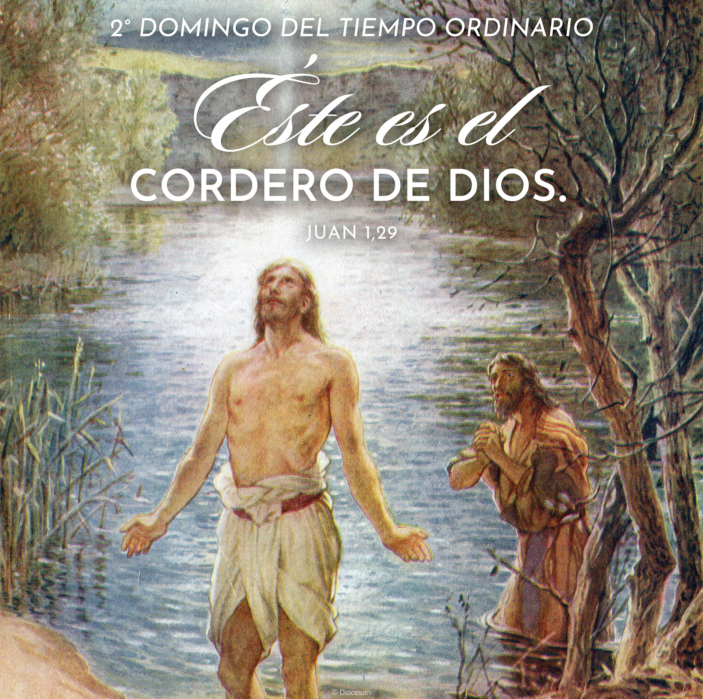 Lamb of God Ordinary Time Spanish Square