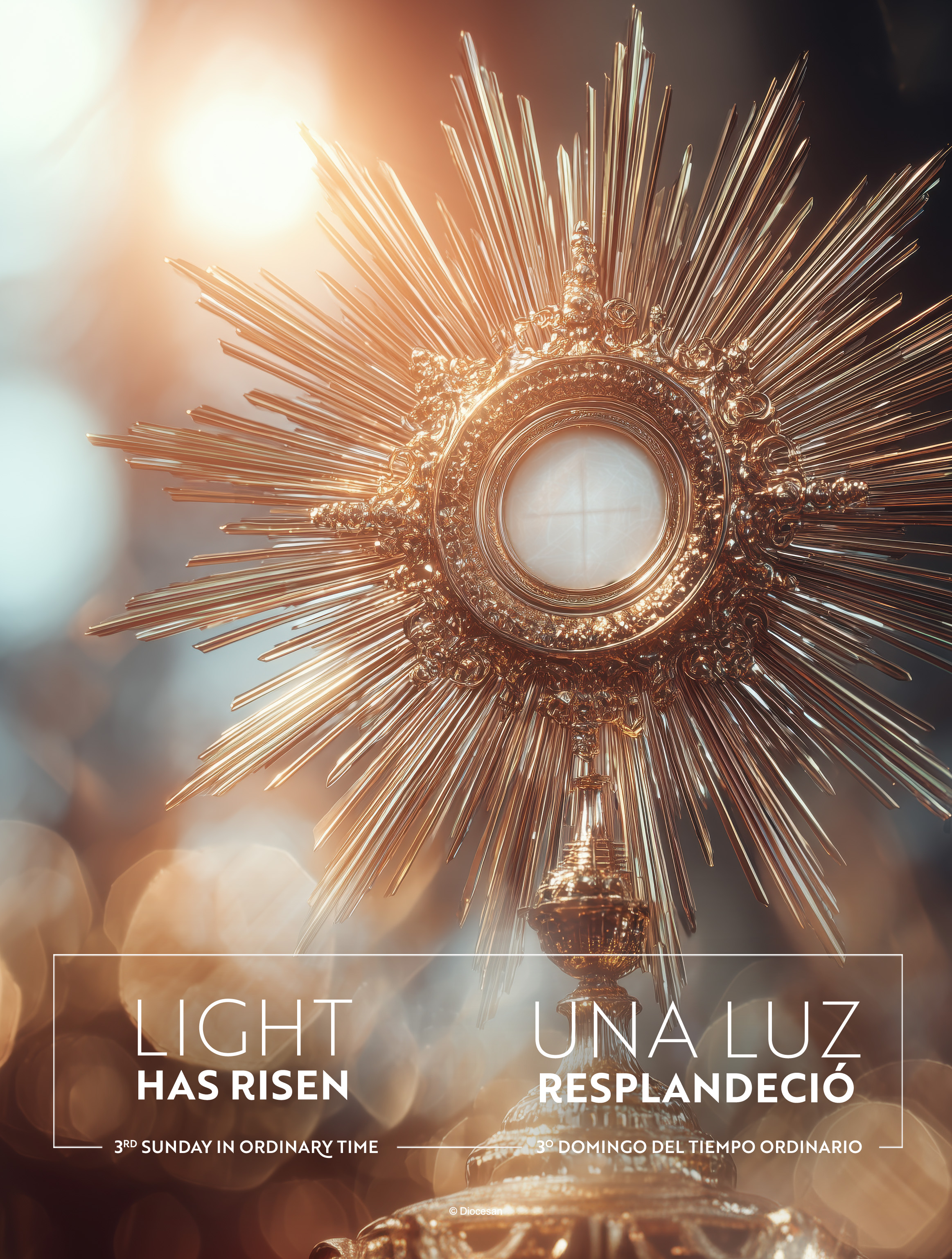 Light Has Arisen. Bilingual Cover