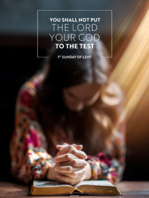 You Shall Not. Cover